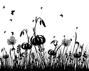 Image showing meadow silhouettes