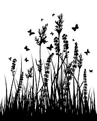 Image showing meadow silhouettes