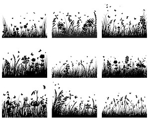 Image showing meadow silhouettes