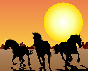 Image showing horse on sunset background