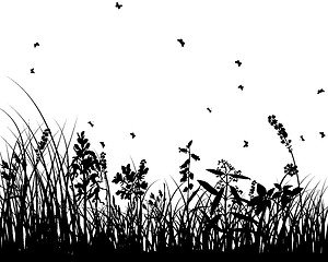 Image showing meadow silhouettes