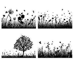 Image showing meadow silhouettes