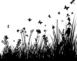 Image showing meadow silhouettes