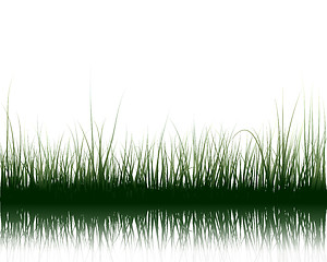 Image showing grass on water