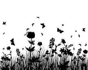 Image showing meadow silhouettes