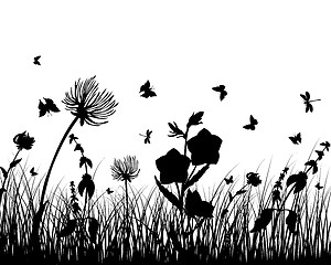 Image showing meadow silhouettes