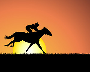 Image showing horse on sunset background