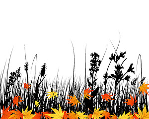 Image showing autumn meadow silhouettes