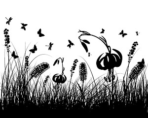 Image showing meadow silhouettes