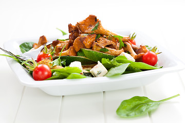 Image showing Fresh baby spinach with roasted chanterelle mushrooms
