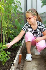 Image showing Cute girl in the hothouse