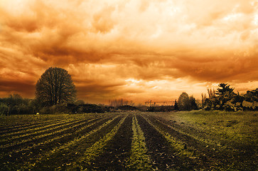 Image showing Dramatic Landscape