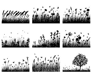 Image showing meadow silhouettes