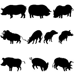 Image showing pigs and boars silhouettes set