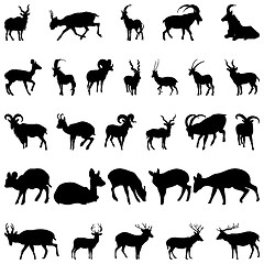 Image showing deer and goats silhouettes set