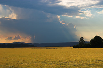 Image showing rainshower