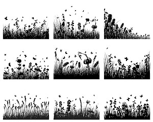 Image showing meadow silhouettes