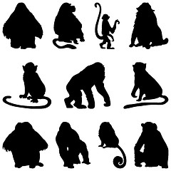 Image showing apes silhouettes set
