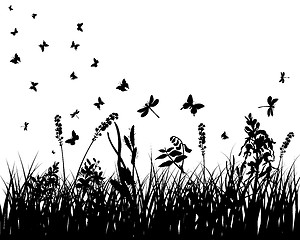 Image showing meadow silhouettes