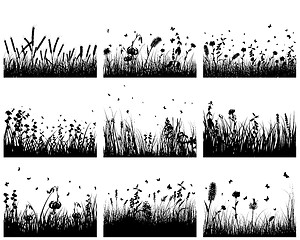 Image showing meadow silhouettes