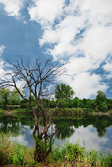 Image showing Lake landscape