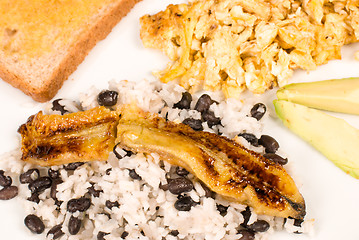 Image showing Gallo pinto breakfast