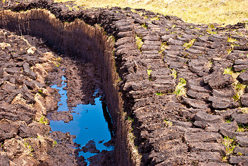 Image showing Turf