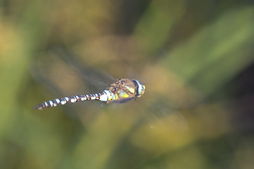 Image showing In flight