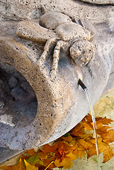 Image showing Fontana delle Api