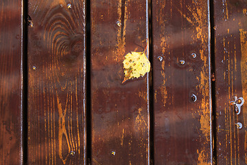 Image showing Background of the Wooden Board Floor