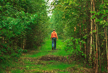 Image showing Man Walking in the Forest