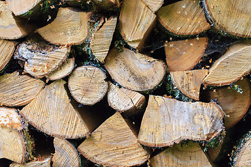 Image showing Background of Stacked Chopped Firewood Logs