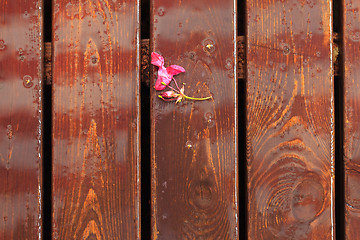 Image showing Background of the Wooden Board Floor