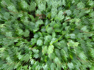 Image showing Green background