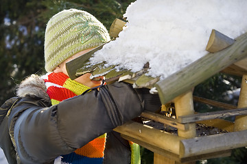 Image showing Bird feeder