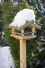 Image showing Bird feeder