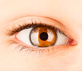 Image showing Human eye close up ...