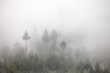 Image showing fog