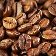 Image showing coffee beans