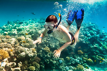 Image showing Snorkeler.  Red sea