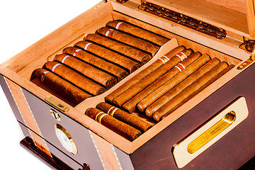 Image showing Cigars in humidor