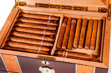 Image showing Cigars in humidor