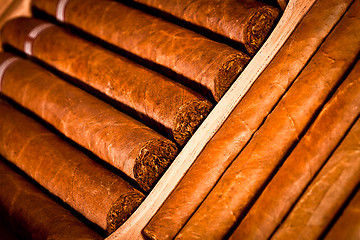 Image showing Cigars in humidor