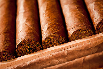 Image showing Cigars in humidor