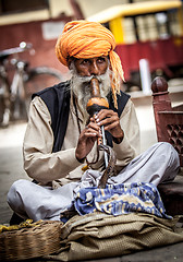 Image showing snake charmer