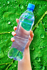 Image showing bottle water