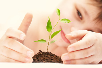 Image showing The boy observes cultivation of a young plant.