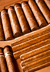 Image showing Cigars in humidor