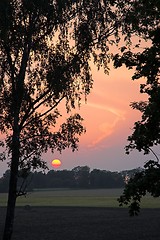 Image showing sunset