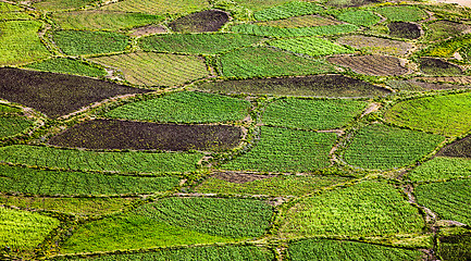 Image showing Farmland